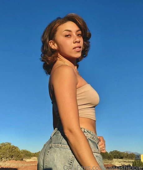 ayvashippie pornographic star img