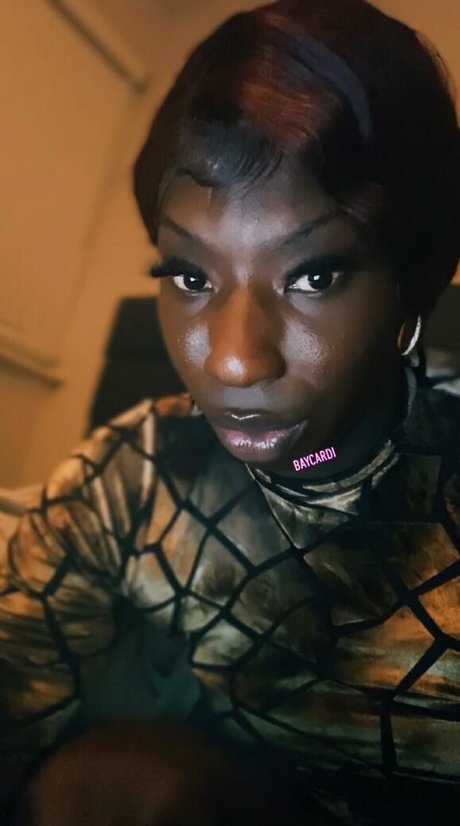 amazonbaycardi model art galleries