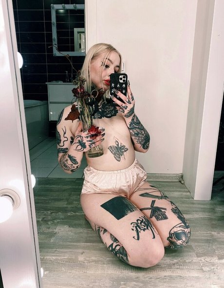 dariamilk star high quality img