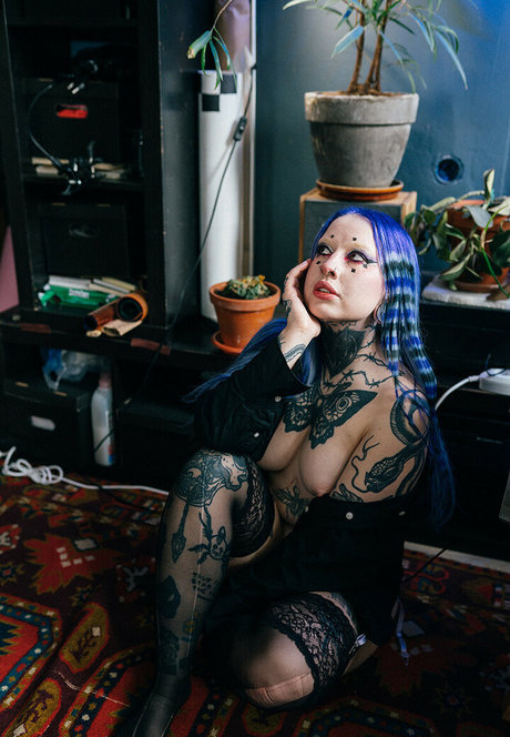 dariamilk star high quality pic