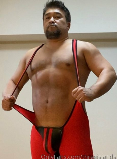 threeislands nice star galleries