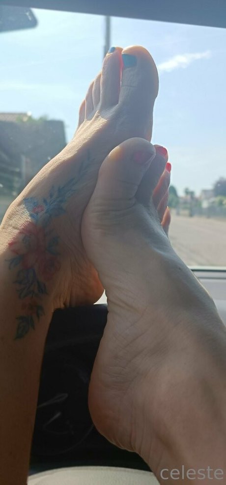 shemale outdoor onlyfans sexy nudes gallery