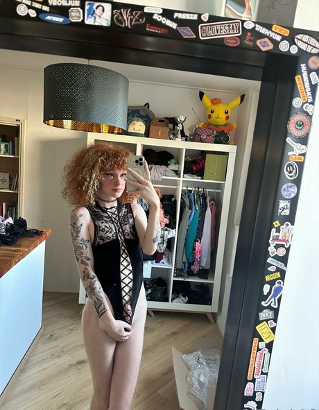 bitwink18 star images