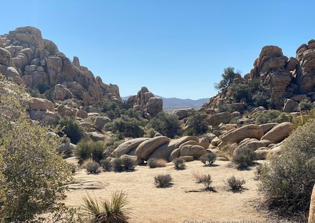 fitblondenextdoor model hot pics