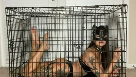 asiapolerina model art gallery