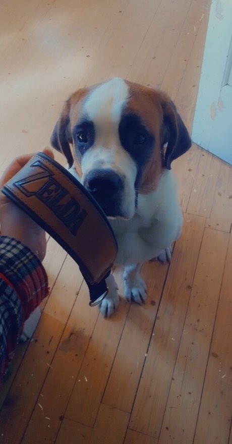 bigbootyisabella pretty model img