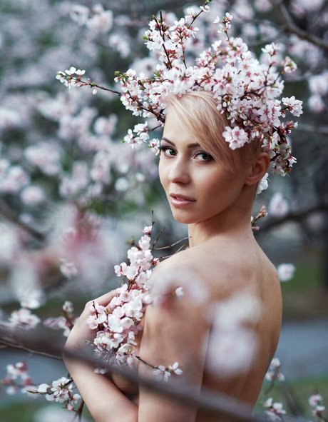 Gene Oryx star art gallery