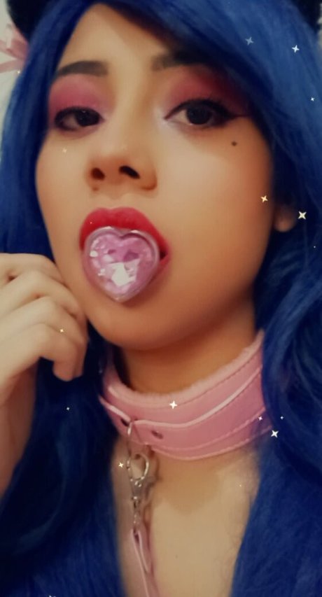 Chery Princess high quality star image