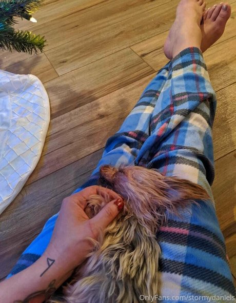 stormydaniels pornographic actress photo