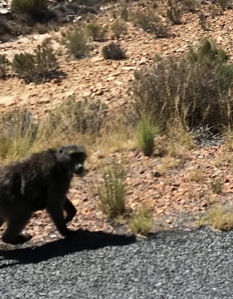 kitty xxx onlyfans xxx picture