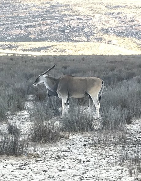 petite girls onlyfans pretty img