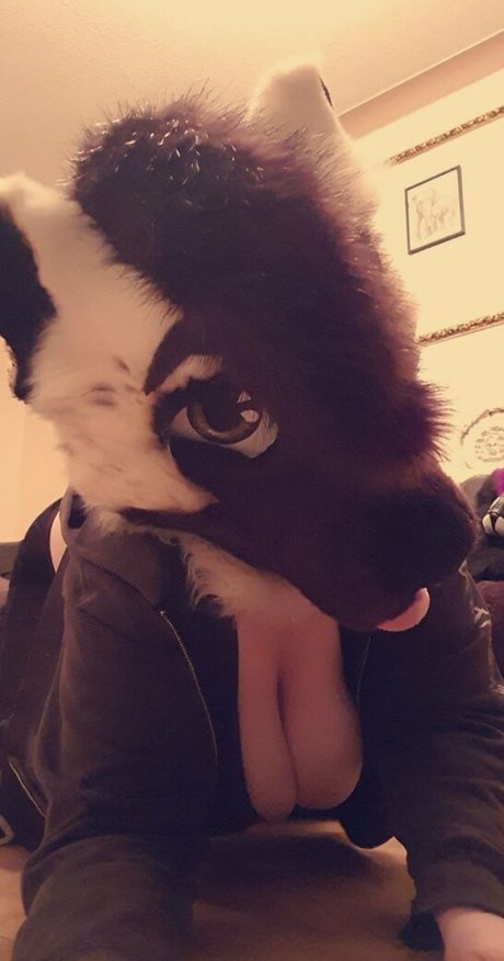 all the fluffies pornstar hd pics