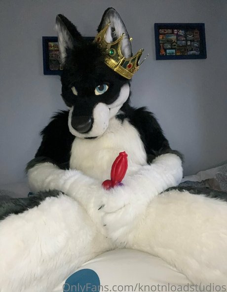 knotnloadstudios star nice pics