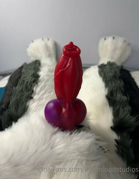 knotnloadstudios pornstar gallery