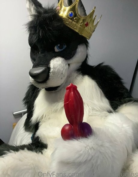 knotnloadstudios Photo Gallery