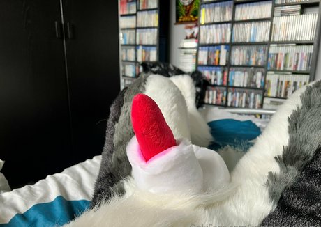 knotnloadstudios star pornographic photos