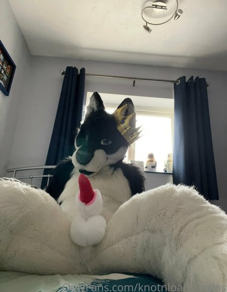 asmr xxx onlyfans top pic