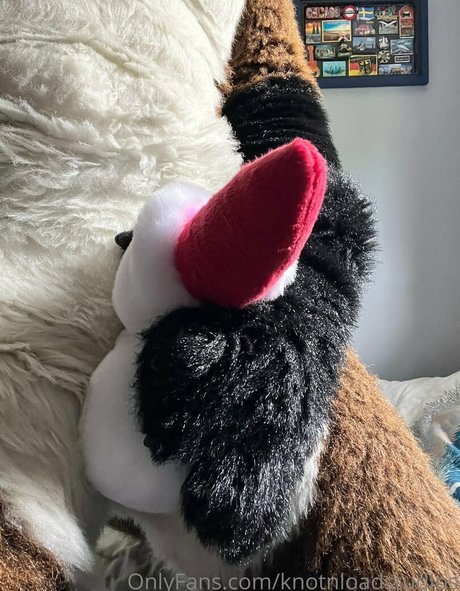 knotnloadstudios sexy star img