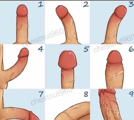 european onlyfans erotic galleries