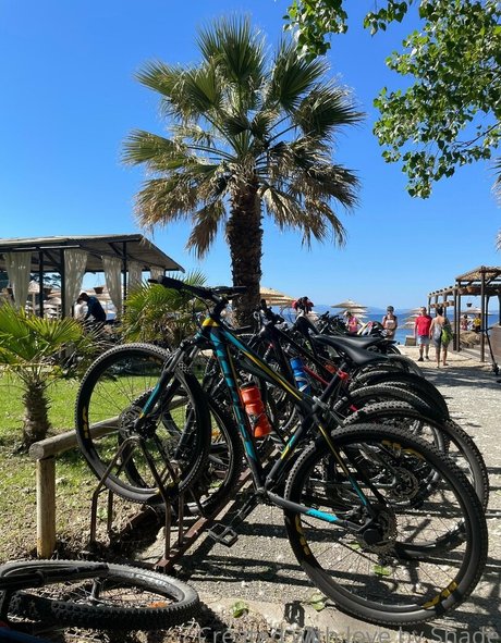 shadeofme best actress gallery