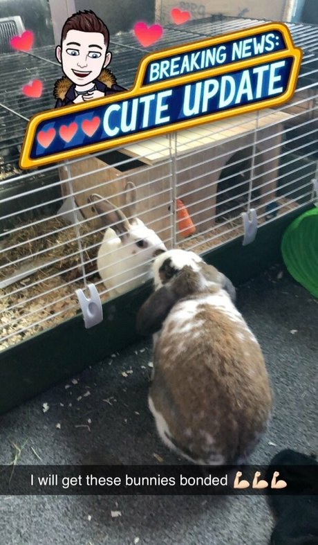 redhead fuck onlyfans top img