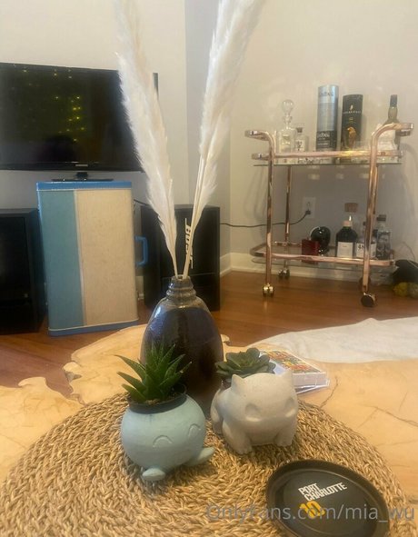 mia wu star free photos