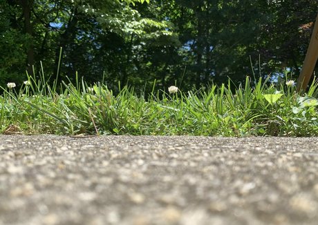 sizeplayproduct star pretty gallery