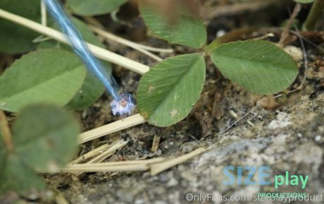 sizeplayproduct star nice photo