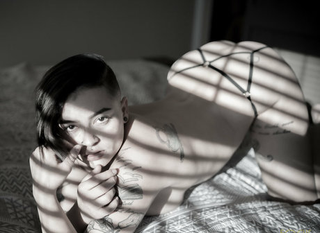 focus boudoir nice star pics