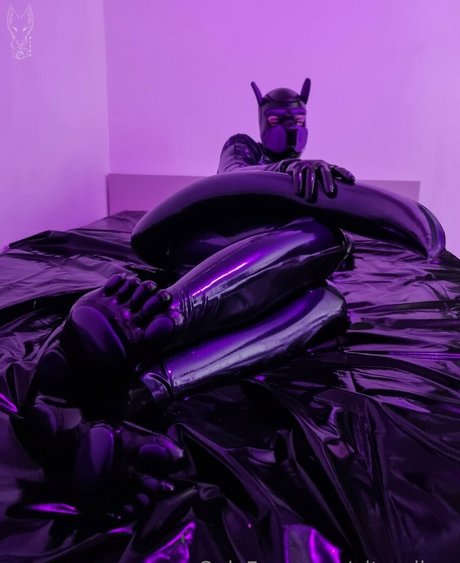 pitourikou best actress picture