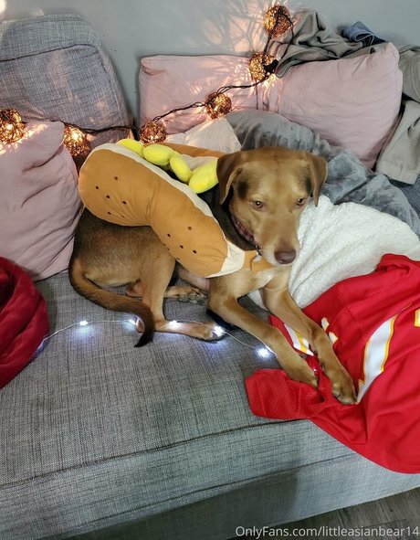 JuicyPinaypple pornstar perfect photos