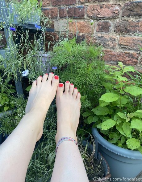 fondafeet beautiful pornstar picture