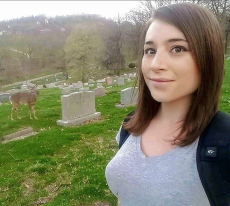 jordanelizabeth star pornographic archive