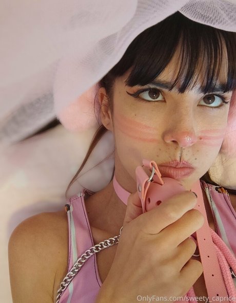 lenidoll perfect model image