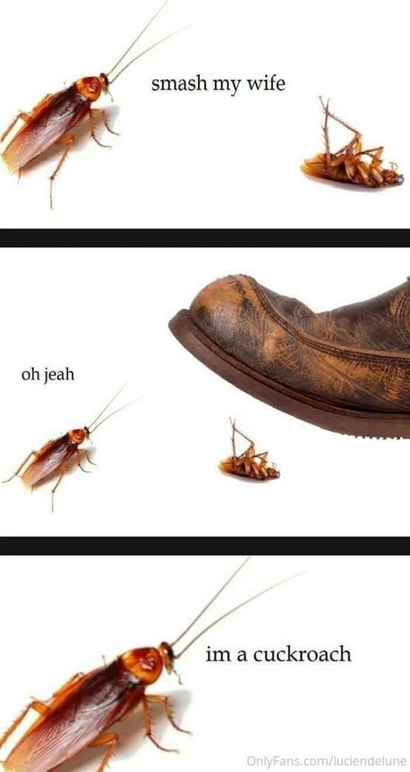 small onlyfans sexy xxx photo