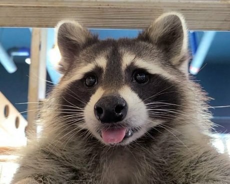 maskkim best model gallery