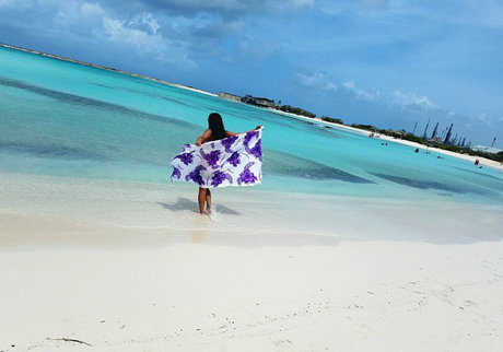 Amanda F porn star gallery