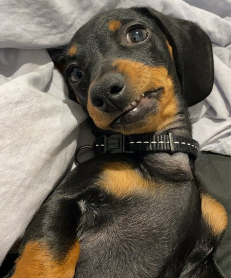 hairy anal onlyfans art xxx pictures