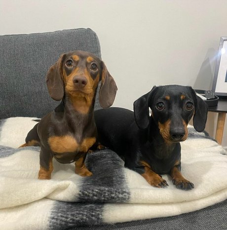 feet free onlyfans best images