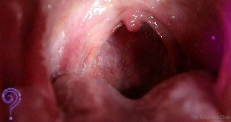 the goddess clue pretty model archive