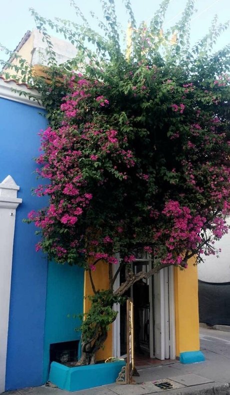 galacticgypsy28 porn model img