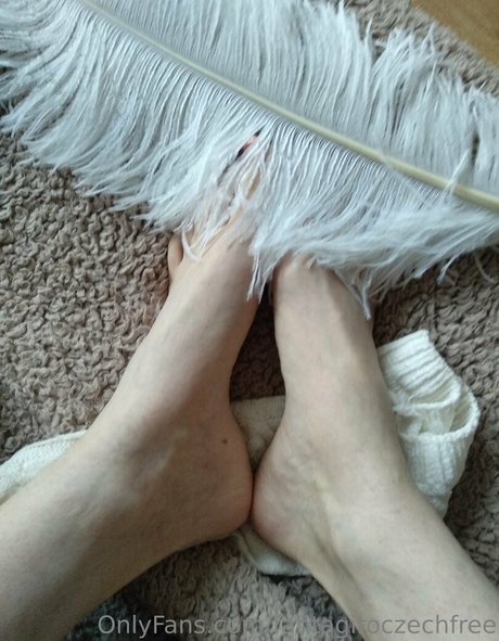 fantagiroczechfree art pornstar image