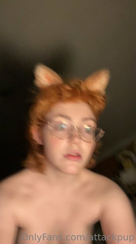 attackpup top model images