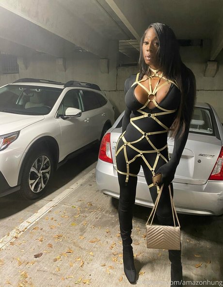 amazonhung art actress photo