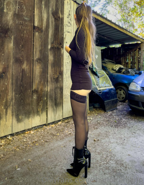 stars onlyfans hd archive