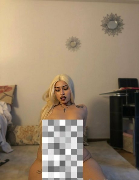 imbarix hd model gallery