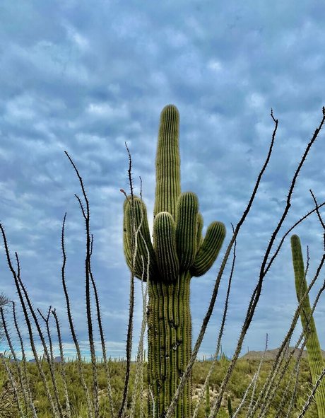 flat chested onlyfans hot sexy picture