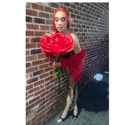 darirose hd model pictures