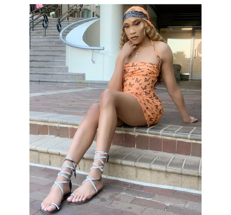 darirose star top archive