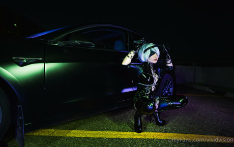 vividvision erotic model pic